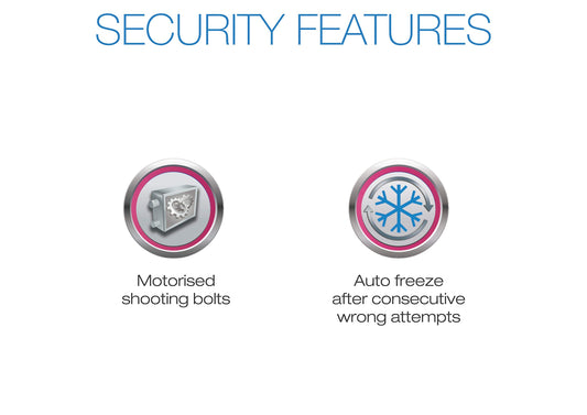 Godrej Security Solutions Eswipe Safe (Silver)