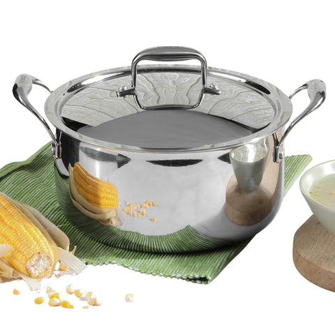 Vinod Platinum Triply Stainless Steel Saucepot with Lid – 20 cm | Biryani & Curry Pot | Induction & Gas Compatible | Easy Clean | 5-Year Warranty | Silver