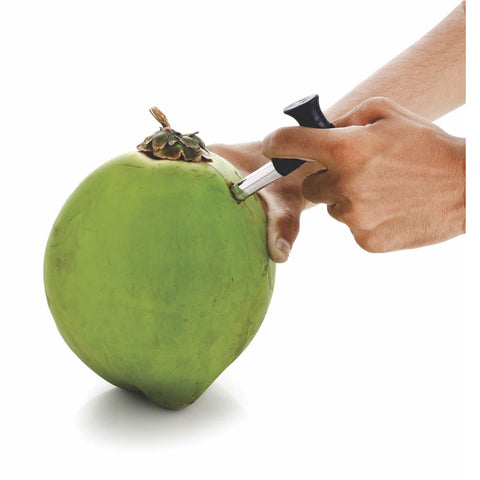 Signo Coconut Hole Opener – Stainless Steel Kitchen Tool