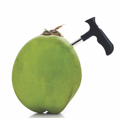 Signo Coconut Hole Opener – Stainless Steel Kitchen Tool