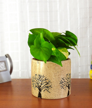 BR.FLOWER POT NO.0